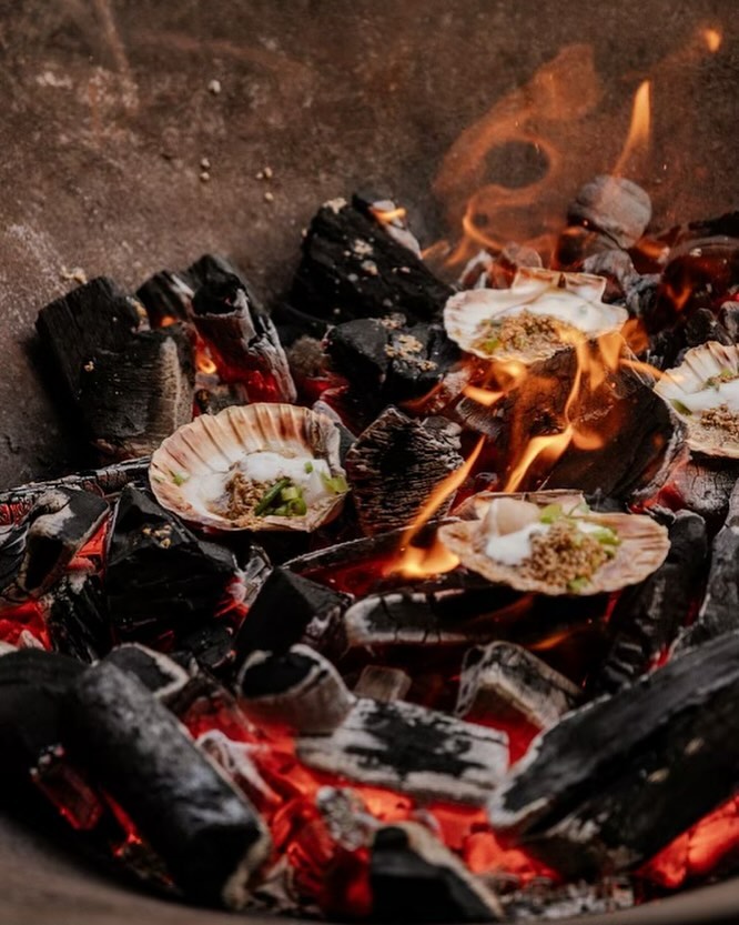 Noix de Saint-Jacques cuites sur la braise du brasero, flammes vives